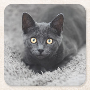 Niedliche Kleintiere   Graue Katze Rechteckiger Pappuntersetzer