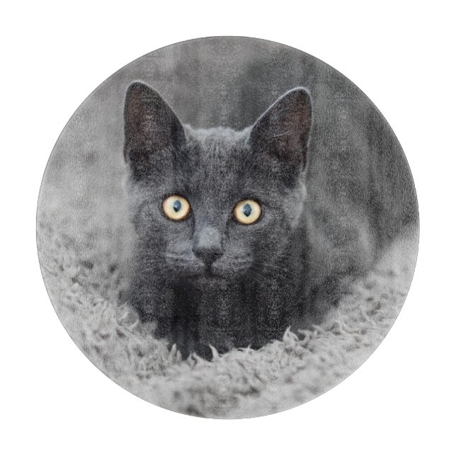 Niedliche Kleintiere | Graue Katze Schneidebrett (Vorderseite)