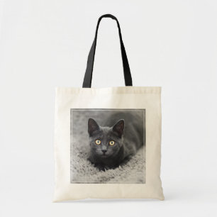 Niedliche Kleintiere   Graue Katze Tragetasche