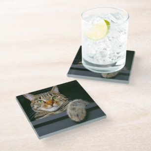 Niedliche Kleintiere   Grey Tabby Cat Face Glasuntersetzer