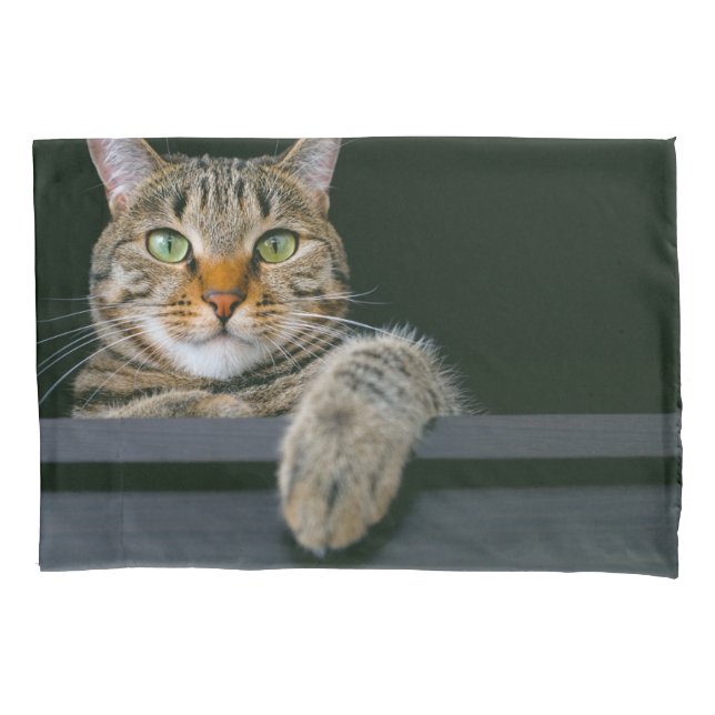 Niedliche Kleintiere | Grey Tabby Cat Face Kissenbezug (Vorderseite)