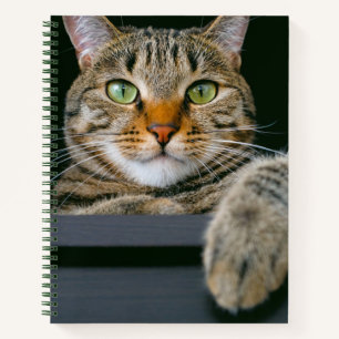 Niedliche Kleintiere   Grey Tabby Cat Face Notizbuch