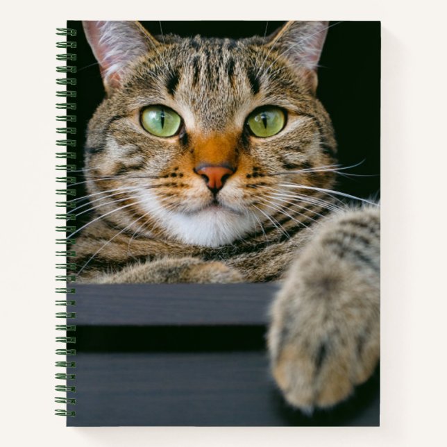 Niedliche Kleintiere | Grey Tabby Cat Face Notizbuch (Vorderseite)