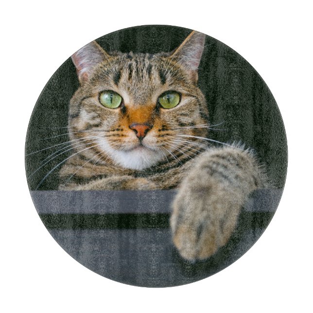 Niedliche Kleintiere | Grey Tabby Cat Face Schneidebrett (Vorderseite)
