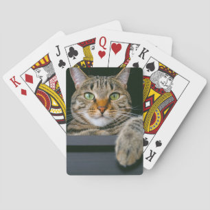 Niedliche Kleintiere Grey Tabby Cat Face Spielkarten