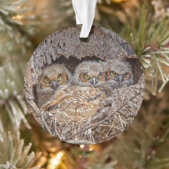 Niedliche Kleintiere | Große Horned Chips Ornament (Baum)