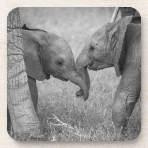 Niedliche Kleintiere   Gruß von Baby Elephants Getränkeuntersetzer