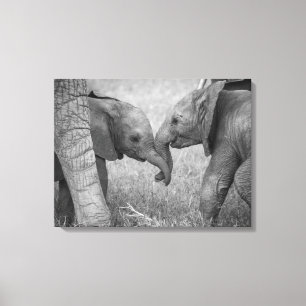 Niedliche Kleintiere Gruß von Baby Elephants Leinwanddruck