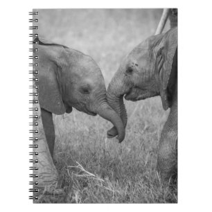 Niedliche Kleintiere   Gruß von Baby Elephants Notizblock