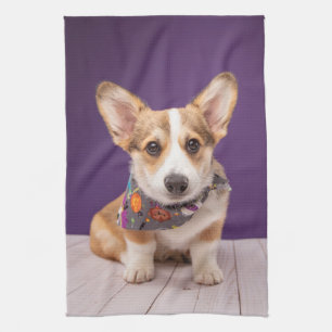 Niedliche Kleintiere Halloween Corgi Geschirrtuch