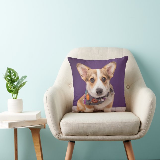 Niedliche Kleintiere | Halloween Corgi Kissen (Stuhl )