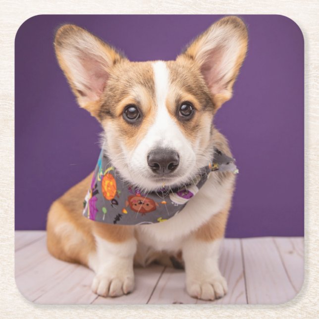 Niedliche Kleintiere | Halloween Corgi Rechteckiger Pappuntersetzer (Vorderseite)