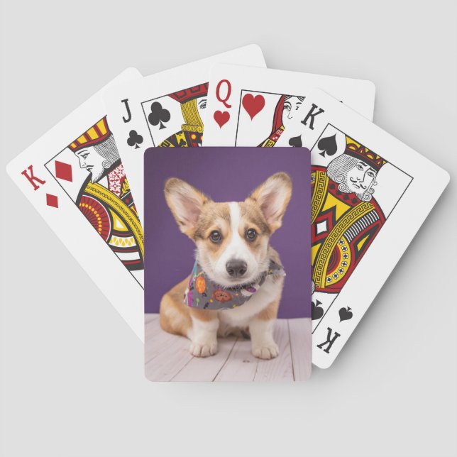 Niedliche Kleintiere | Halloween Corgi Spielkarten (Rückseite)