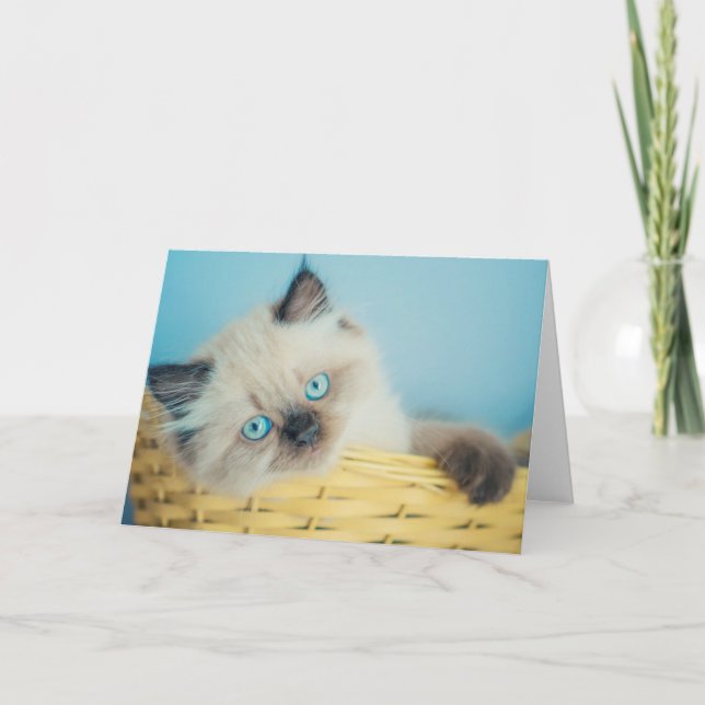 Niedliche Kleintiere | Himalayan Siegel Point Cat Karte (Vorderseite)