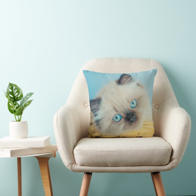 Niedliche Kleintiere | Himalayan Siegel Point Cat Kissen (Stuhl )