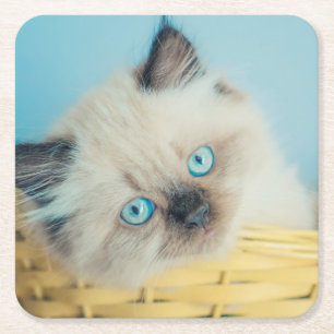 Niedliche Kleintiere Himalayan Siegel Point Cat Rechteckiger Pappuntersetzer