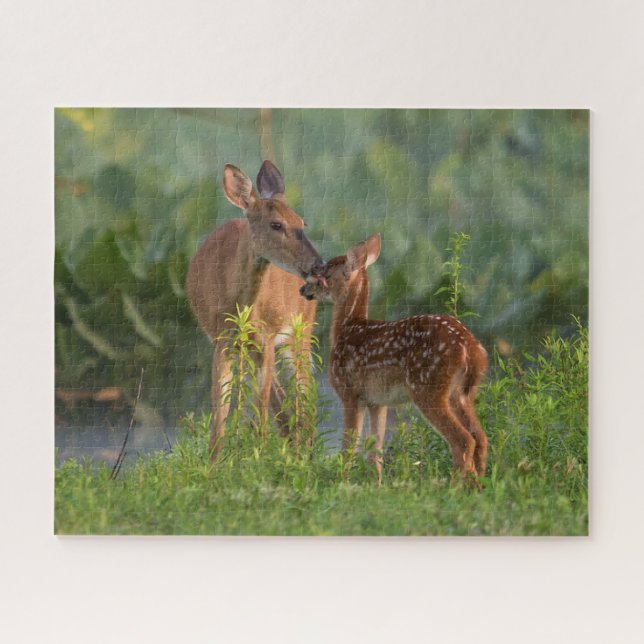 Niedliche Kleintiere | Hirsch und Baby (Horizontal)