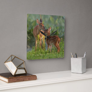 Niedliche Kleintiere Hirsch und Baby Quadratische Wanduhr