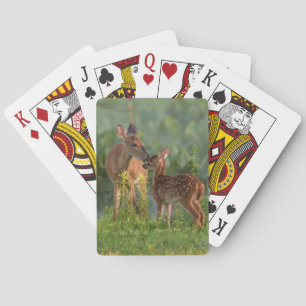 Niedliche Kleintiere   Hirsch und Baby Spielkarten