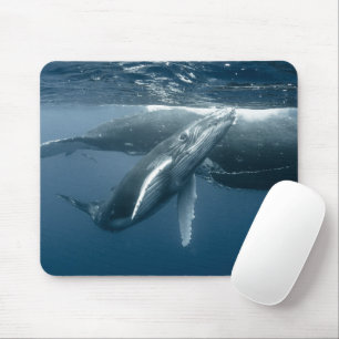 Niedliche Kleintiere Humpback Whale Calf Mousepad