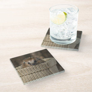 Niedliche Kleintiere Igel in einem Korb Glasuntersetzer