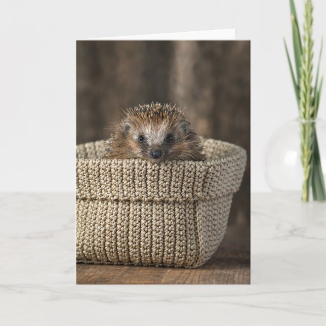 Niedliche Kleintiere | Igel in einem Korb Karte (Vorderseite)