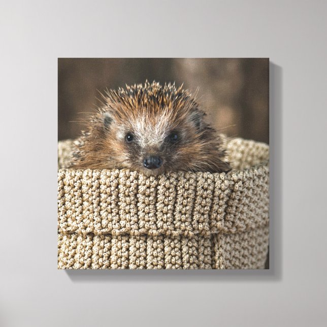 Niedliche Kleintiere | Igel in einem Korb Leinwanddruck (Vorderseite)