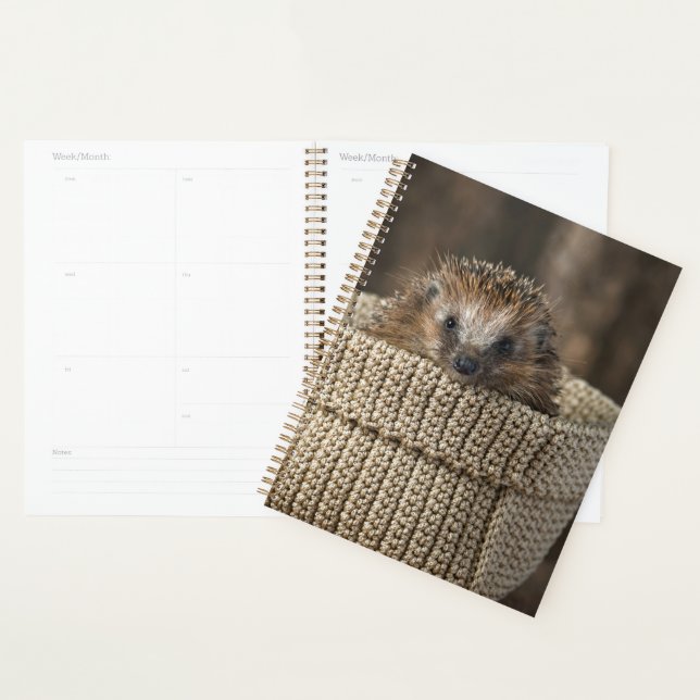 Niedliche Kleintiere | Igel in einem Korb Planer (Anzeige)