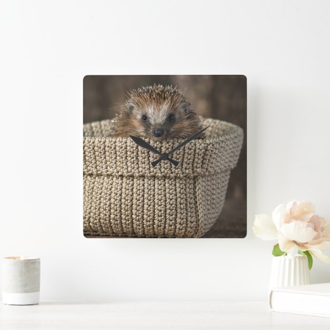 Niedliche Kleintiere | Igel in einem Korb Quadratische Wanduhr (Zuhause)