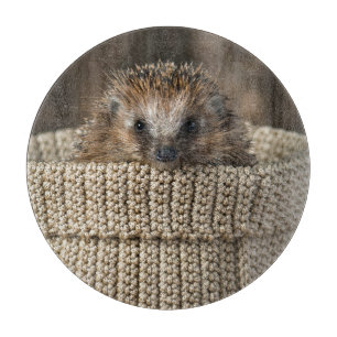 Niedliche Kleintiere Igel in einem Korb Schneidebrett