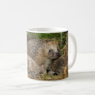 Niedliche Kleintiere IGEL Kaffeetasse