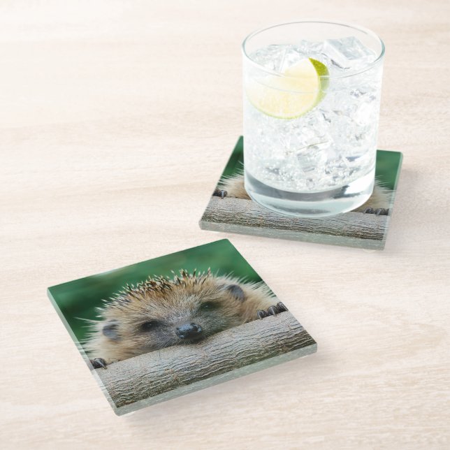 Niedliche Kleintiere | Igel Lächeln Glasuntersetzer (Schrägansicht)