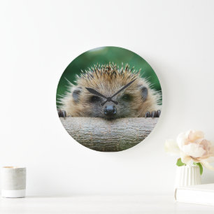 Niedliche Kleintiere   Igel Lächeln Große Wanduhr