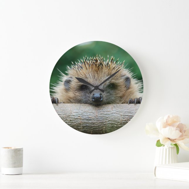 Niedliche Kleintiere | Igel Lächeln Große Wanduhr (Zuhause)