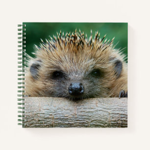 Niedliche Kleintiere   Igel Lächeln Notizbuch