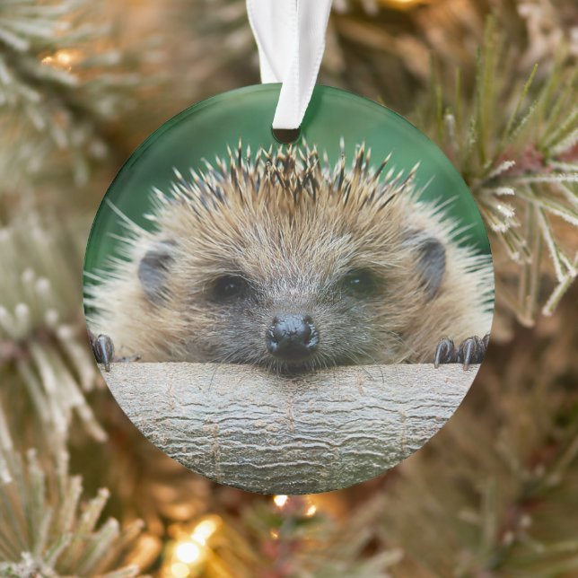 Niedliche Kleintiere | Igel Lächeln Ornament (Baum)