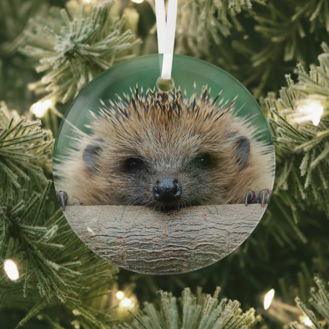 Niedliche Kleintiere | Igel Lächeln Ornament Aus Glas (InSitu)