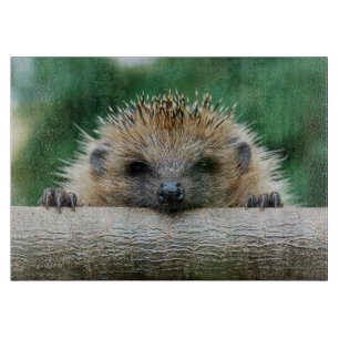 Niedliche Kleintiere Igel Lächeln Schneidebrett
