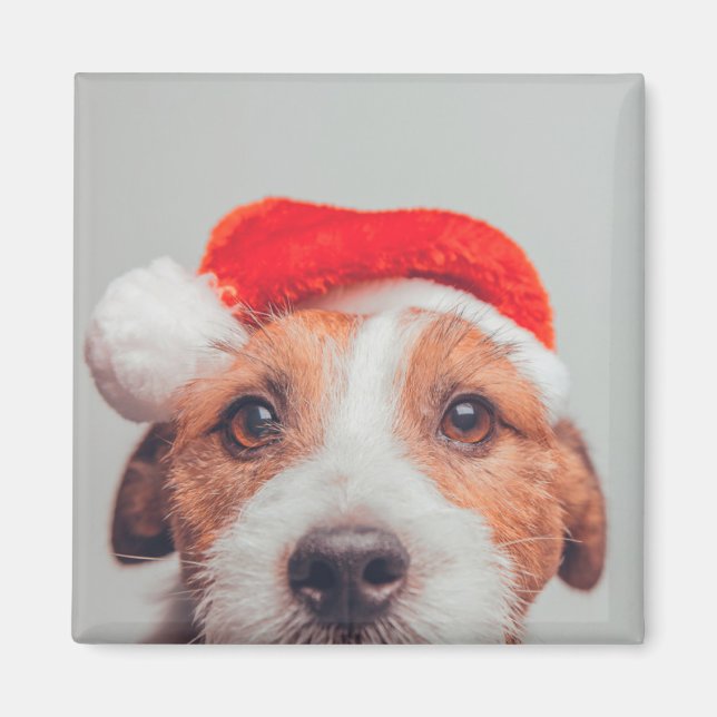 Niedliche Kleintiere | Jack Russell Dog Santa Clau Magnet (Vorne)