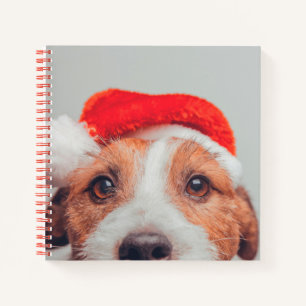 Niedliche Kleintiere Jack Russell Dog Santa Clau Notizbuch