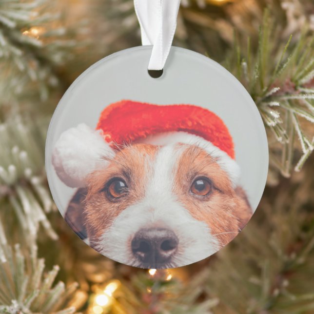 Niedliche Kleintiere | Jack Russell Dog Santa Clau Ornament (Baum)