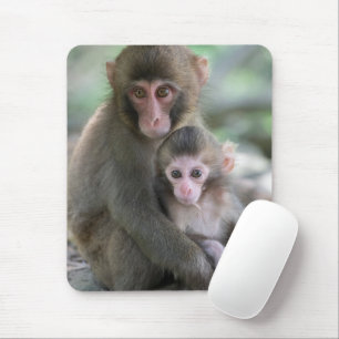 Niedliche Kleintiere Japanische Affen Mousepad