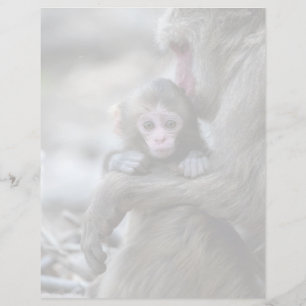 Niedliche Kleintiere Japanischer Affe & Baby