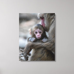 Niedliche Kleintiere   Japanischer Affe & Baby Leinwanddruck