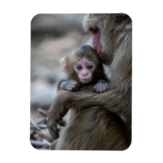 Niedliche Kleintiere | Japanischer Affe & Baby Magnet (Vertikal)