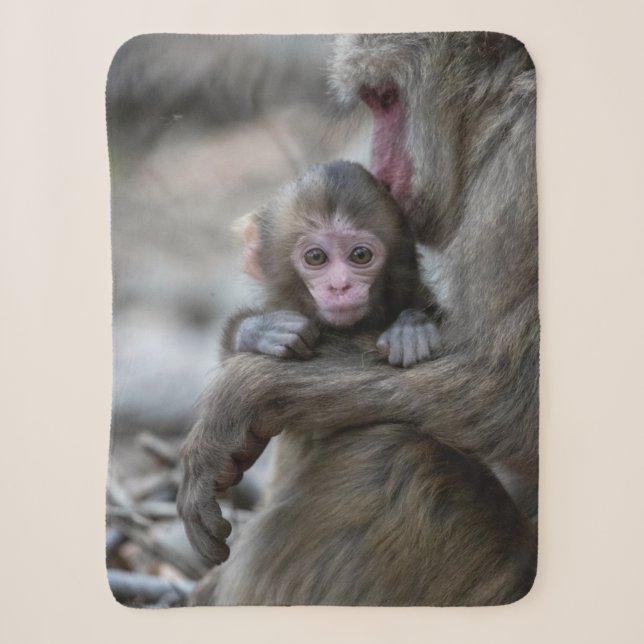 Niedliche Kleintiere | Japanischer Affe & Baby Sherpadecke (Vorderseite)
