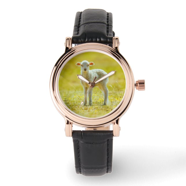 Niedliche Kleintiere | Jungschaf Armbanduhr (Vorderseite)
