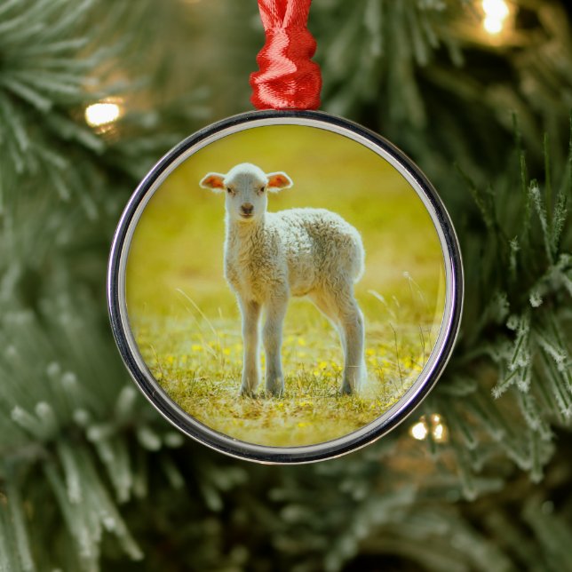 Niedliche Kleintiere | Jungschaf Ornament Aus Metall (Baum)