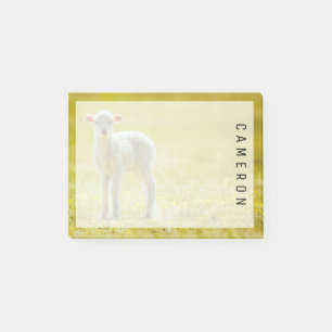 Niedliche Kleintiere Jungschaf Post-it Klebezettel