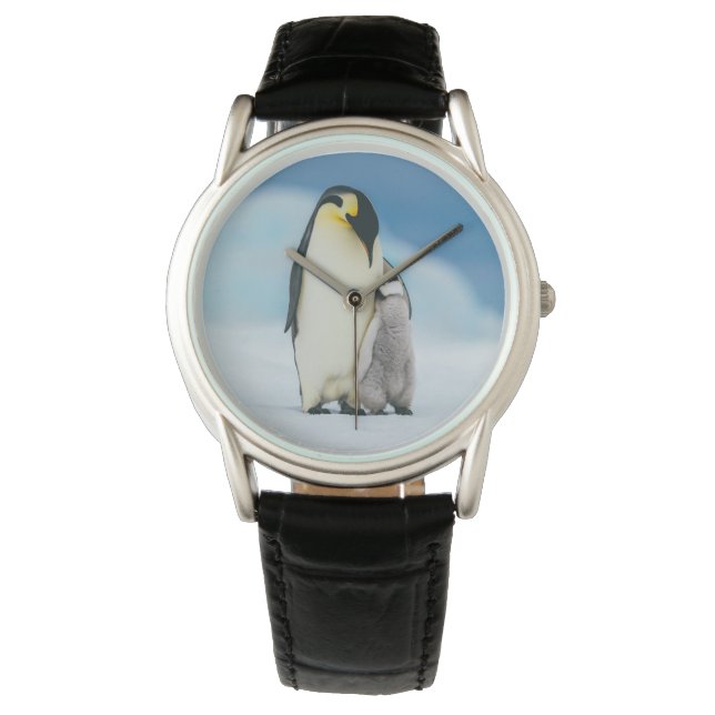 Niedliche Kleintiere | Kaiser Penguin Chick Armbanduhr (Vorderseite)